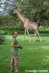 Eureka Camp - Zambia