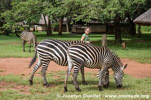 Eureka Camp - Zambia