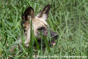 Munda Wanga Environmental Park - Zambia