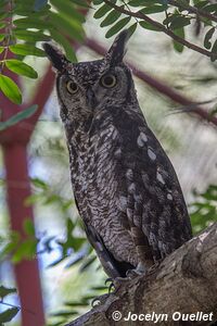 Munda Wanga Environmental Park - Zambia