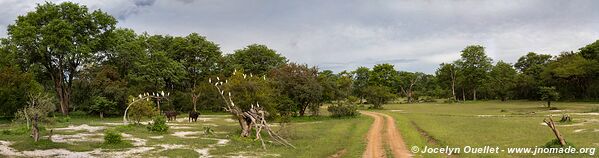 Mosi-oa-Tunya Game Park - Zambia