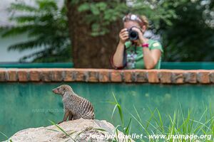 Munda Wanga Environmental Park - Zambia