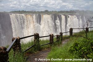 Chutes Victoria - Zambie