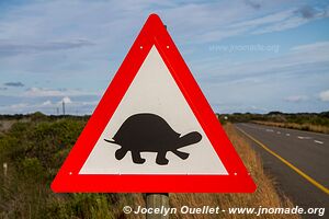 Route de Mossel Bay à Cape Agulhas - Afrique du Sud