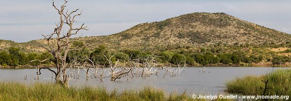 Parc national Pilanesberg - Afrique du Sud