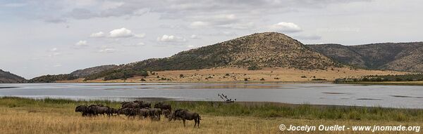 Parc national Pilanesberg - Afrique du Sud