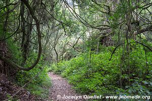 Wilderness National Park - Garden Route - South Africa