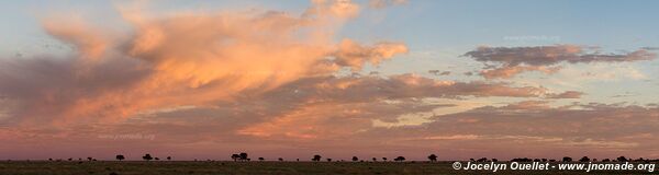 Parc national Mokala - Afrique du Sud