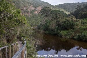Wilderness National Park - Garden Route - South Africa