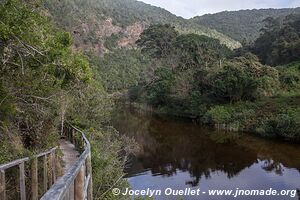 Parc national de Wilderness - Garden Route - Afrique du Sud