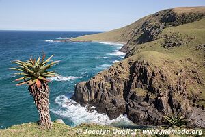 Coffee Bay - Wild Coast - South Africa