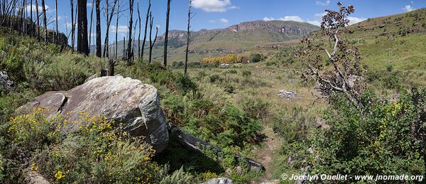 Zone de Injesuthi - uKhahlamba-Drakensberg - Afrique du Sud