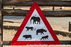 Parc Hluhluwe-Imfolozi - The Elephant Coast - Afrique du Sud