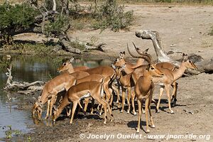 Hluhluwe-Imfolozi Park - The Elephant Coast - South Africa