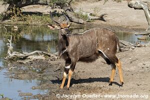 Hluhluwe-Imfolozi Park - The Elephant Coast - South Africa