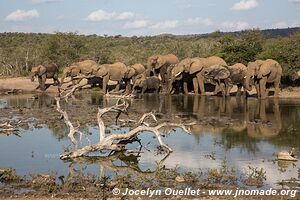 Hluhluwe-Imfolozi Park - The Elephant Coast - South Africa