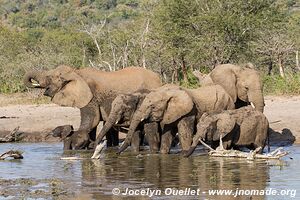 Hluhluwe-Imfolozi Park - The Elephant Coast - South Africa