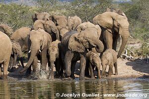 Hluhluwe-Imfolozi Park - The Elephant Coast - South Africa