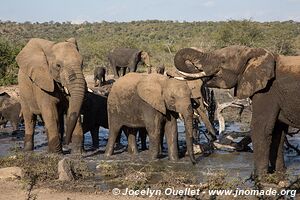 Hluhluwe-Imfolozi Park - The Elephant Coast - South Africa