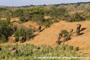 Hluhluwe-Imfolozi Park - The Elephant Coast - South Africa