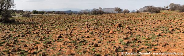 Camdeboo National Park - South Africa