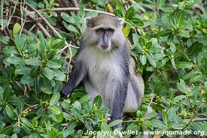 Cap Vidal - Eastern Shores - iSimangaliso Wetland Park - The Elephant Coast - Afrique du Sud