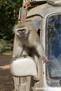 Cap Vidal - Eastern Shores - iSimangaliso Wetland Park - The Elephant Coast - Afrique du Sud