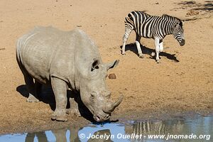 Mkhuze Game Reserve - The Elephant Coast - South Africa