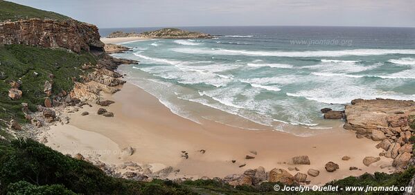 Réserve naturelle Robberg - Garden Route - Afrique du Sud