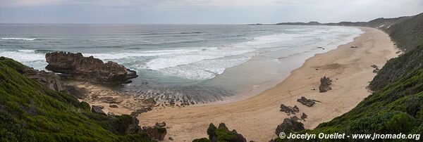 Knysna - Garden Route - Afrique du Sud