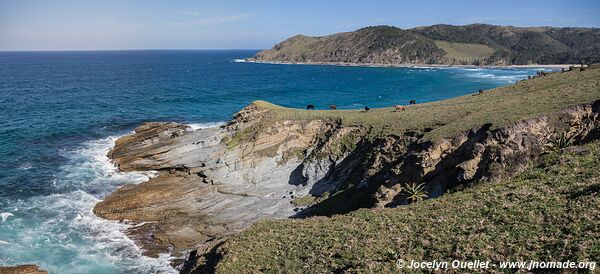 Wild Coast - South Africa