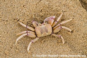 Baie de Sodwana - iSimangaliso Wetland Park - The Elephant Coast - Afrique du Sud