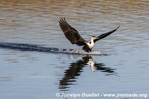 Sibaya Lake - Coastal Forest Reserve - iSimangaliso Wetland Park - The Elephant Coast - South Africa