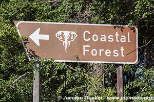 Coastal Forest Reserve - iSimangaliso Wetland Park - The Elephant Coast - Afrique du Sud