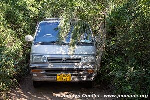 Coastal Forest Reserve - iSimangaliso Wetland Park - The Elephant Coast - South Africa