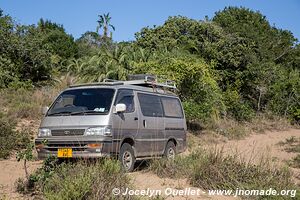 Coastal Forest Reserve - iSimangaliso Wetland Park - The Elephant Coast - South Africa