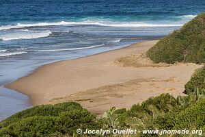 Dog Point - Coastal Forest Reserve - iSimangaliso Wetland Park - The Elephant Coast - Afrique du Sud