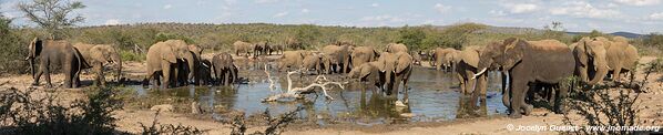 Hluhluwe-Imfolozi Park - The Elephant Coast - South Africa