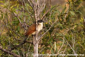 Kruger National Park - South Africa