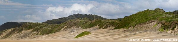 Cap Vidal - Eastern Shores - iSimangaliso Wetland Park - The Elephant Coast - Afrique du Sud