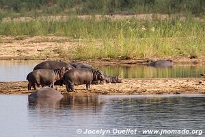 Kruger National Park - South Africa