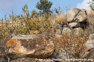 Kruger National Park - South Africa