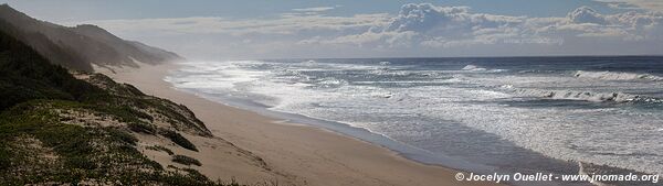 Plage de Manzengweya - Coastal Forest Reserve - iSimangaliso Wetland Park - The Elephant Coast - Afrique du Sud