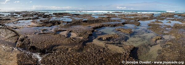 Plage de Lala Nek - Coastal Forest Reserve - iSimangaliso Wetland Park - The Elephant Coast - Afrique du Sud