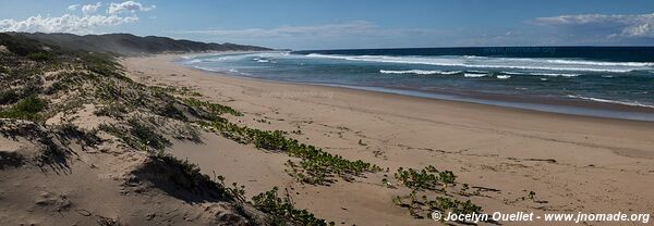 Rocktail Bay - Coastal Forest Reserve - iSimangaliso Wetland Park - The Elephant Coast - South Africa