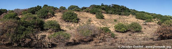 Baie de Rocktail - Coastal Forest Reserve - iSimangaliso Wetland Park - The Elephant Coast - Afrique du Sud