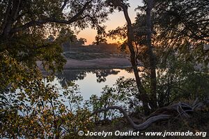 Parc national Kruger - Afrique du Sud