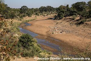 Kruger National Park - South Africa