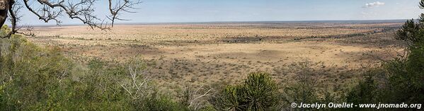 Parc national Kruger - Afrique du Sud