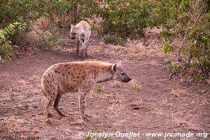 Kruger National Park - South Africa